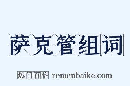 萨克管组词是什么意思的图片